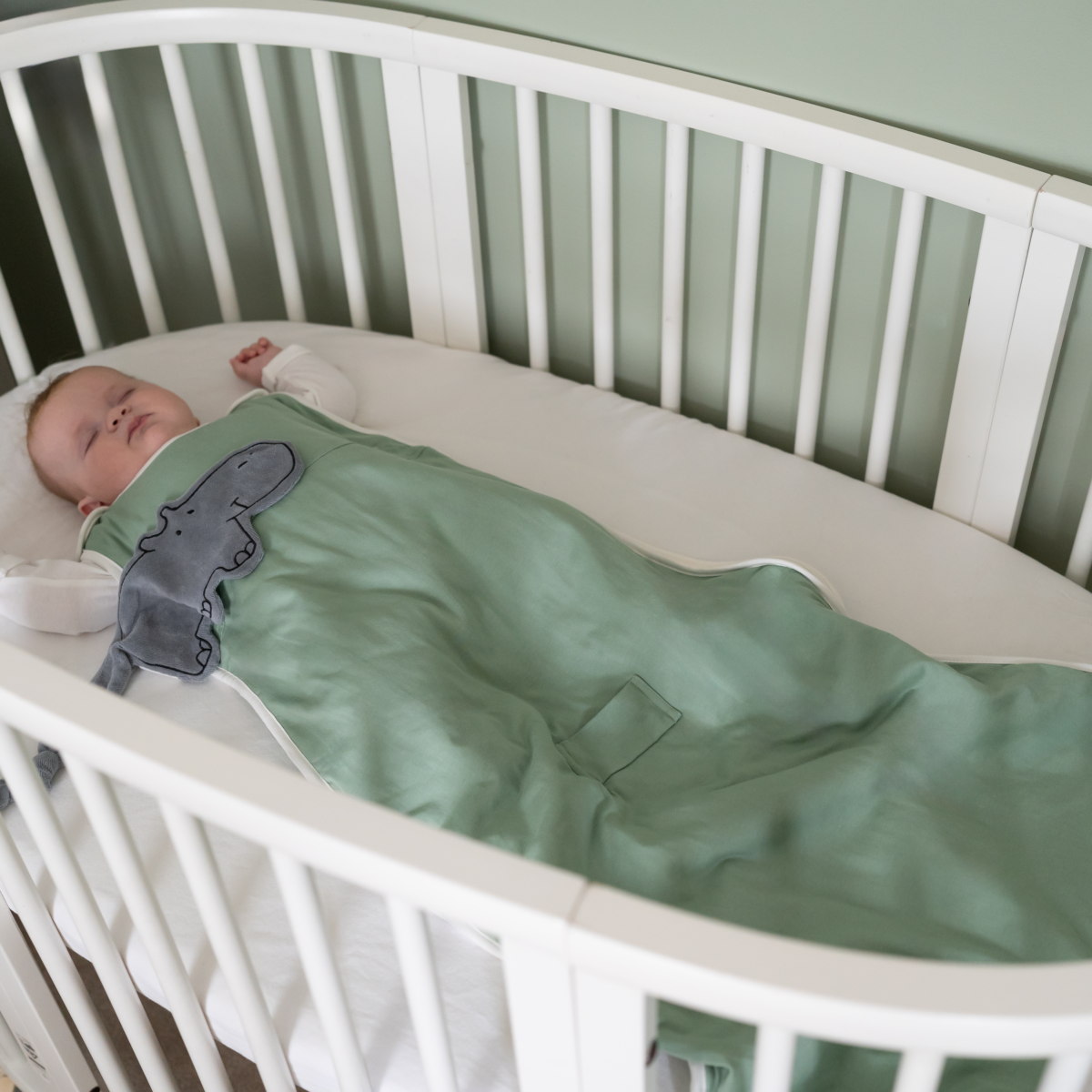 Organic Baby Sleeping Bag Pure Earth Collection