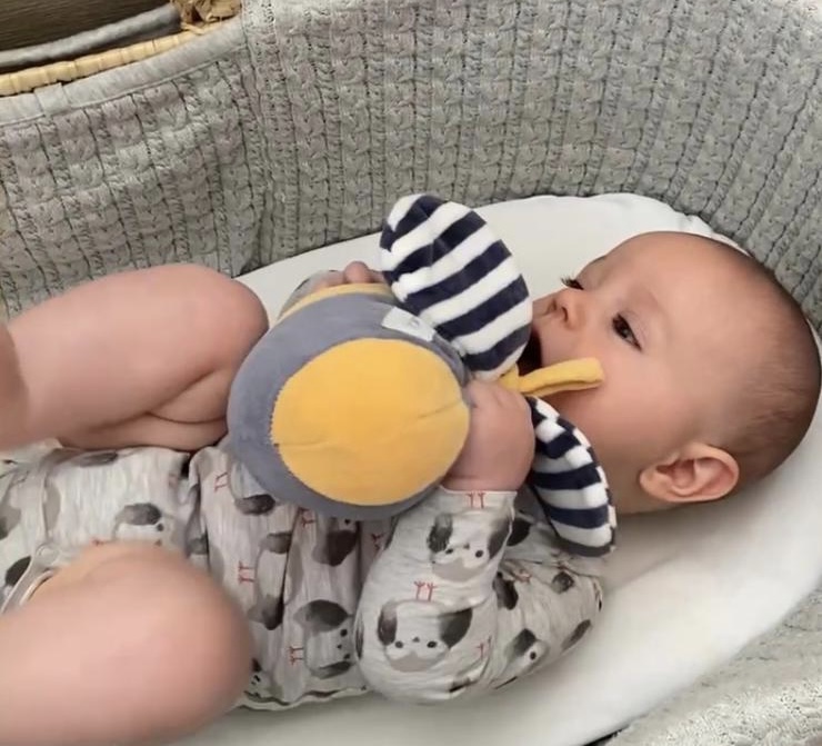 Why do babies put everything in their mouths? Pure Earth Collection