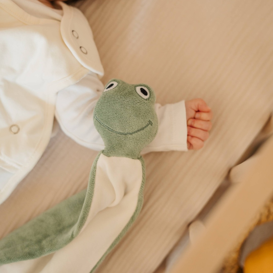 Frog Comforter
