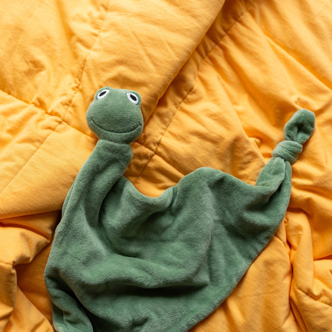 Frog Comforter