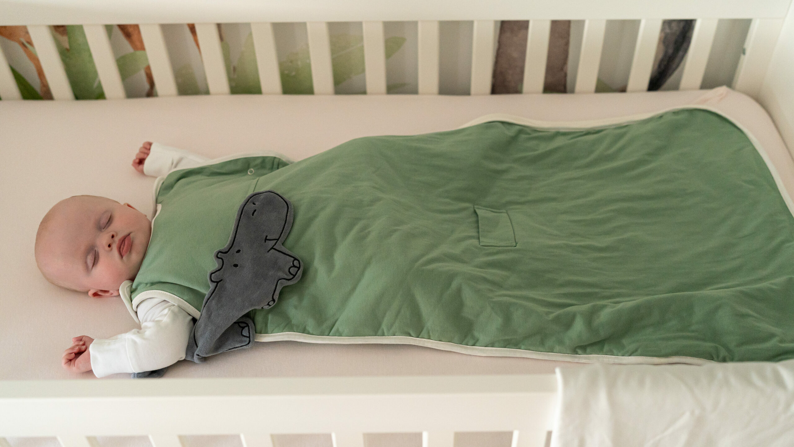 organic baby sleeping bag