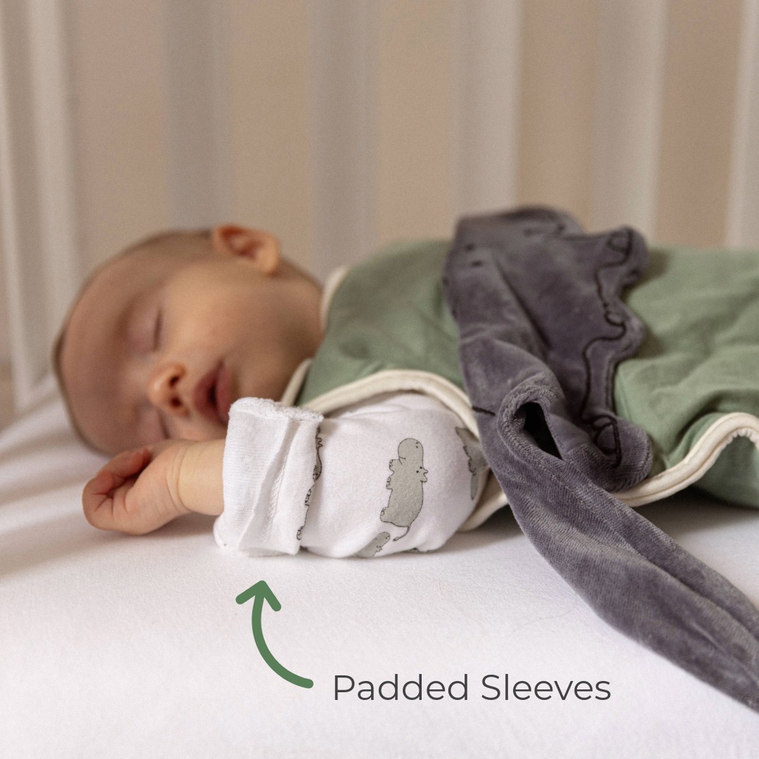 Winter Sleepsuit With Padded Sleeves (2pk) - Hippo