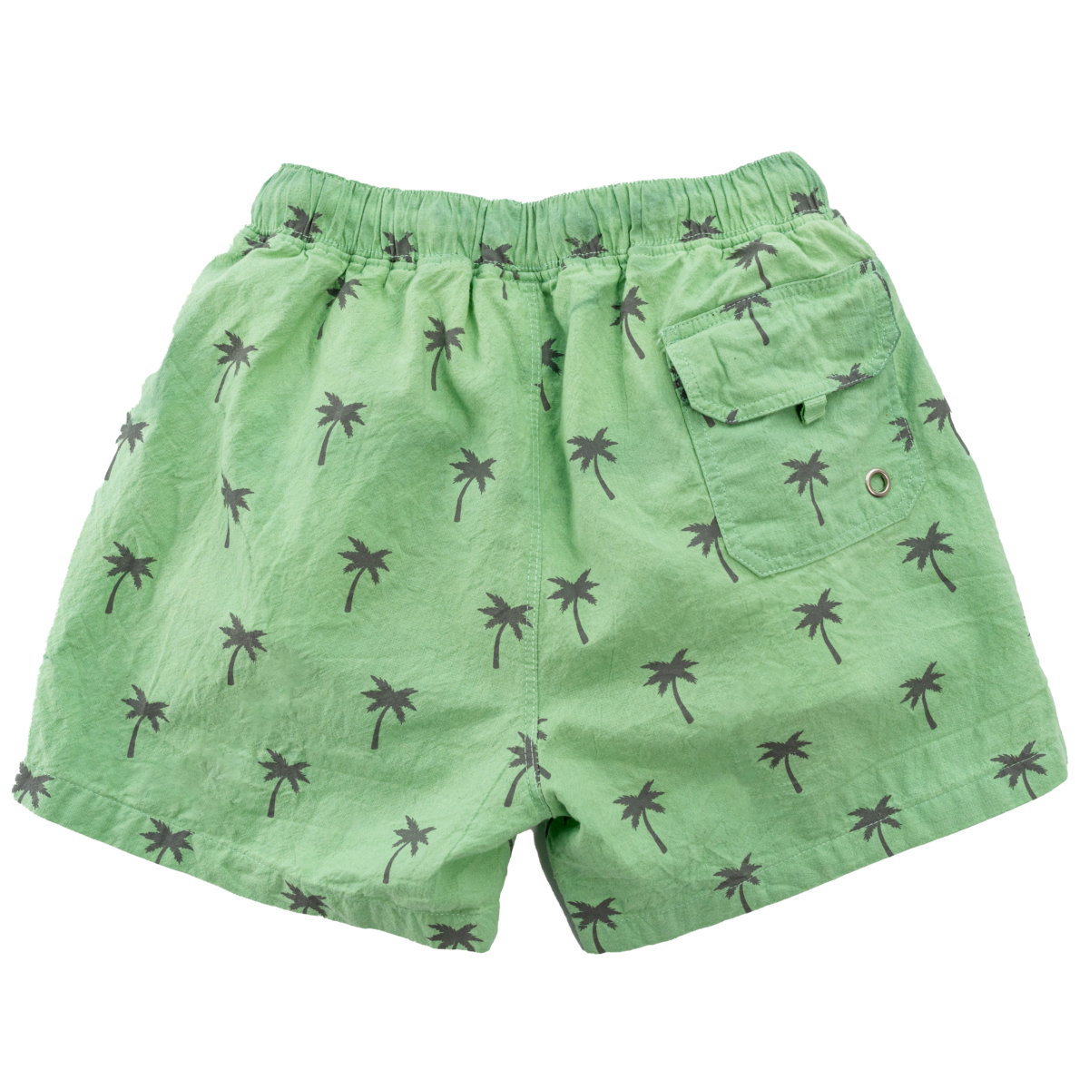 Boys Swim Trunks - Green Palm Trees