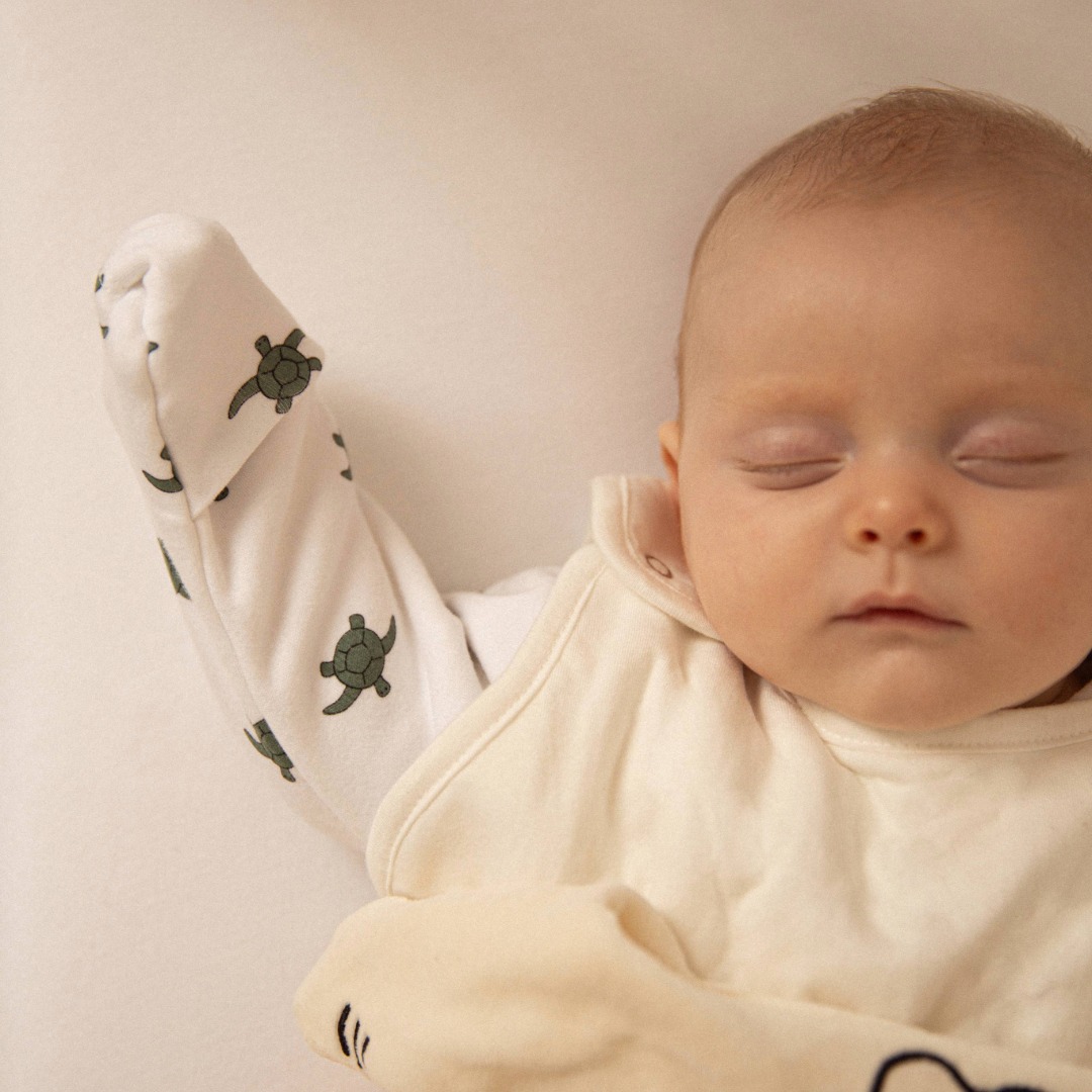 Winter Sleepsuit With Padded Sleeves (2pk) - Turtle