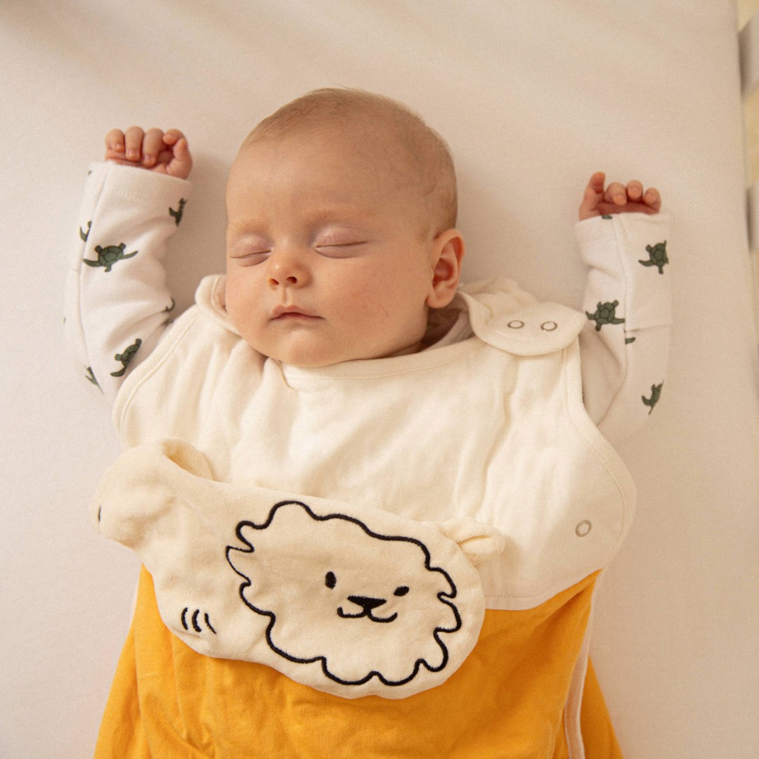 Winter Sleepsuit With Padded Sleeves (2pk) - Turtle