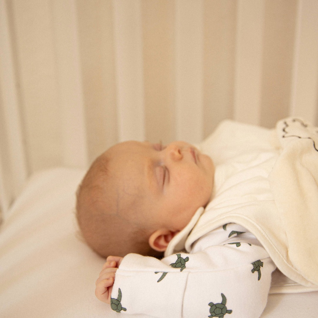 Winter Sleepsuit With Padded Sleeves (2pk) - Turtle